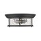 Z-Lite Sonna 2 Light Flush Mount, Matte Black And Clear Seedy 727F13-MB - alternate 4